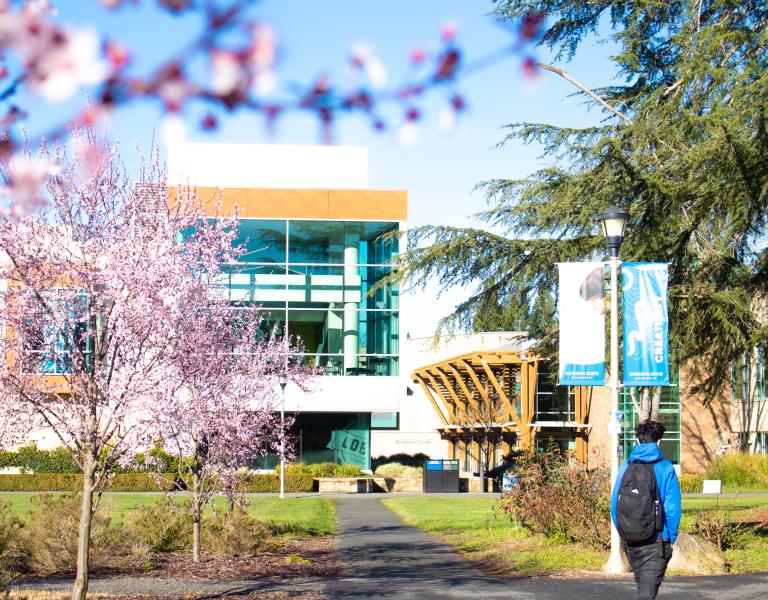 23_Scenery_Spring_Trees_Blossoms_ 2023_Spring weekly photos