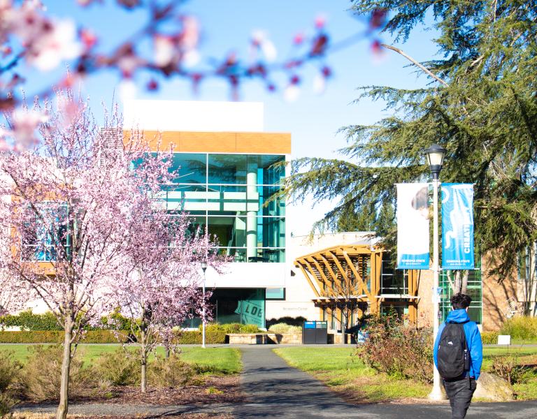 23_Scenery_Spring_Trees_Blossoms_ 2023_Spring weekly photos_ Feb 27_24