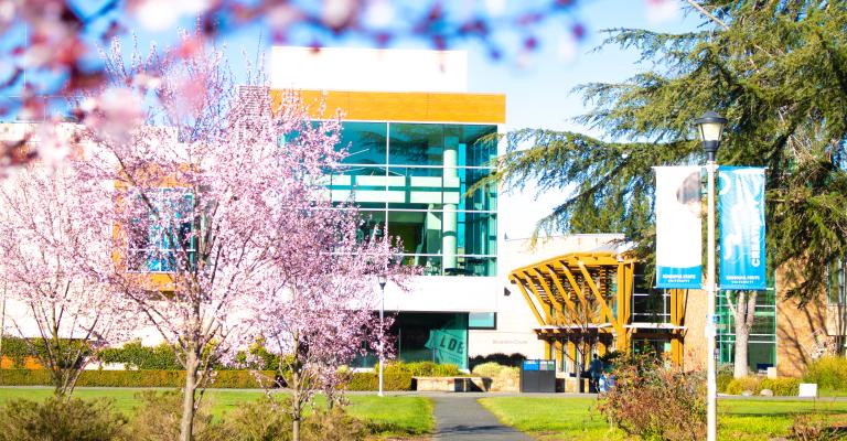 23_Scenery_Spring_Trees_Blossoms_ 2023_Spring weekly photo