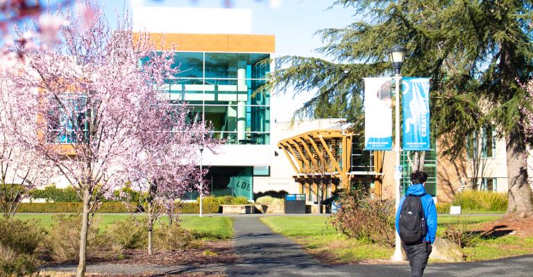 23_Scenery_Spring_Trees_Blossoms_ 2023_Spring weekly photos