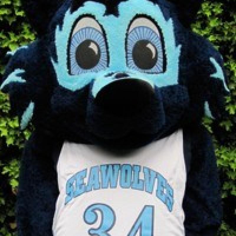 Lobo, Sonoma State Universities mascot, infront of a wall of greenery wearing a #34 jersey smiling at the camera