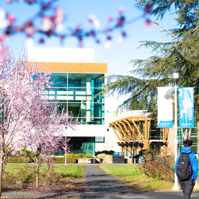 23_Scenery_Spring_Trees_Blossoms_ 2023_Spring weekly photos